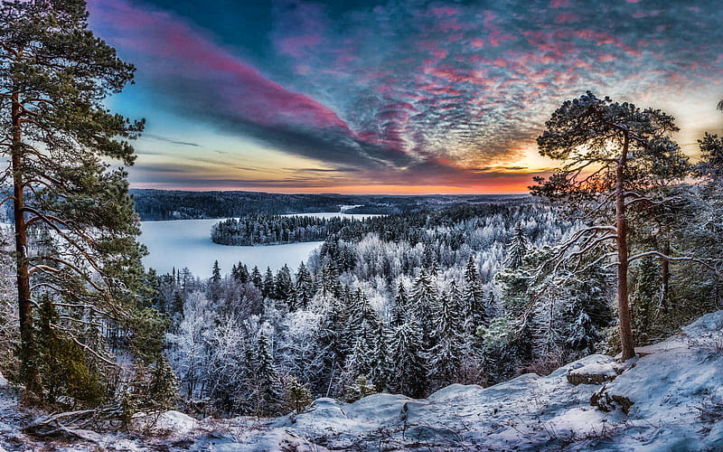 Hameenlinna, sunset, winter, beautiful nature, snowy forest, snowdrifts, Finland, Europe, finnish nature, HD wallpaper