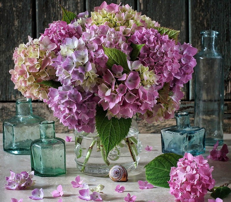 Hydrangea, glass, bouquet, flower, vase, pink, blue, HD wallpaper