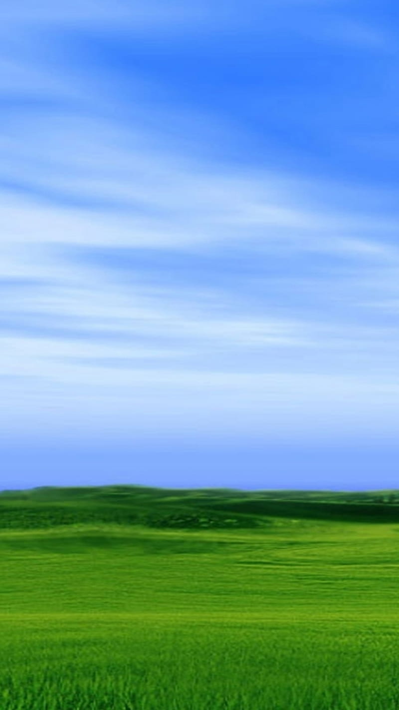 Nature, green field, sky, blue, simple, background, HD phone wallpaper |  Peakpx