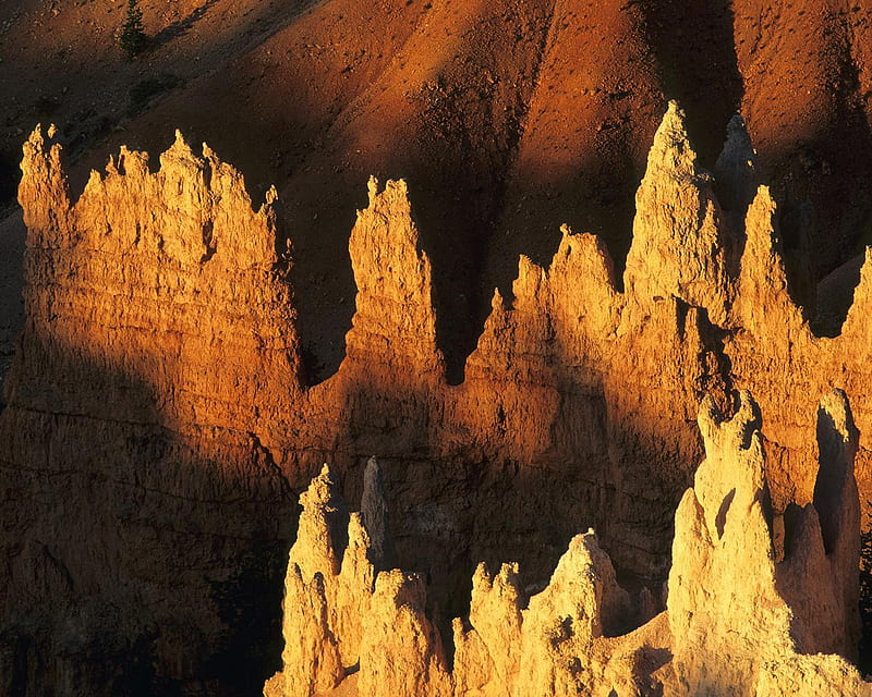Morning Light Bryce Canyon, National Park, Utah, utah, rock, national, shadow, park, canyon, bryce, pointed, nature, light, HD wallpaper