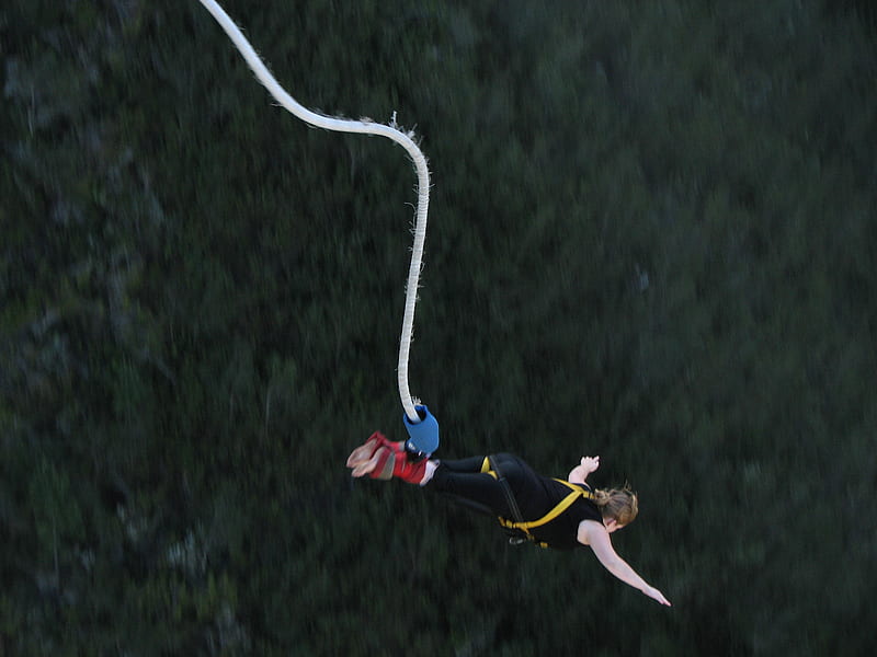 Bungee Anyone?, sport, trees, bungee, jumping, HD wallpaper