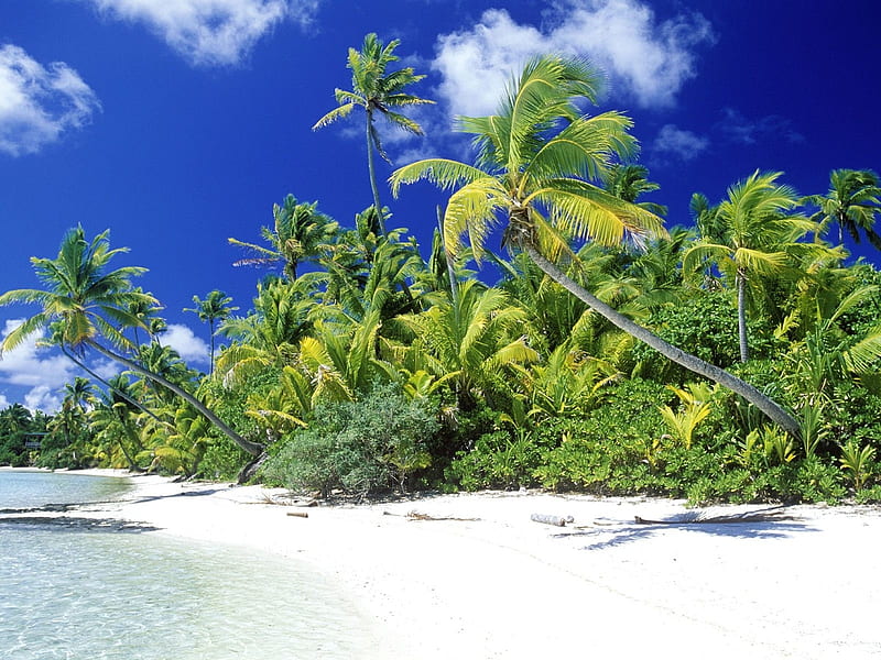 Palm Beach on Solomon Island, beach, solomon, nature, palm, island, clouds, HD wallpaper