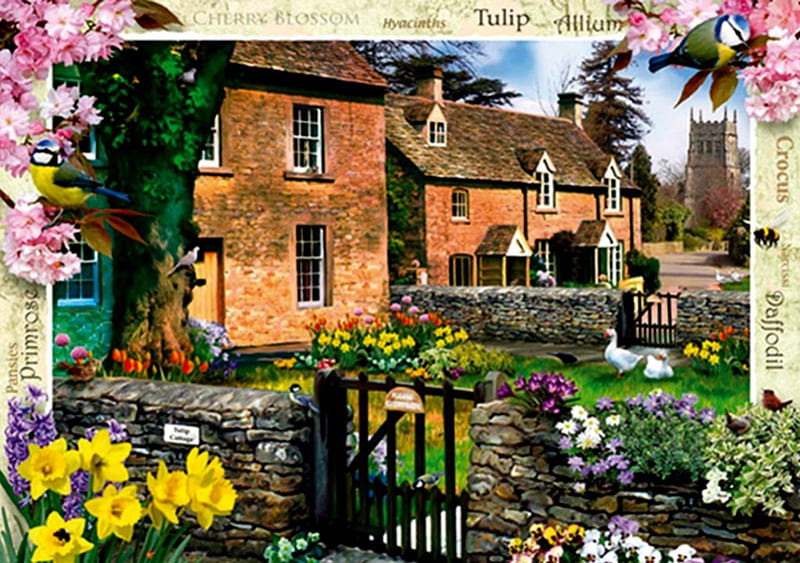 TULIP COTTAGE, cottages, daffodils, gates, houses, ducks, homes, gardens, artworks, HD wallpaper