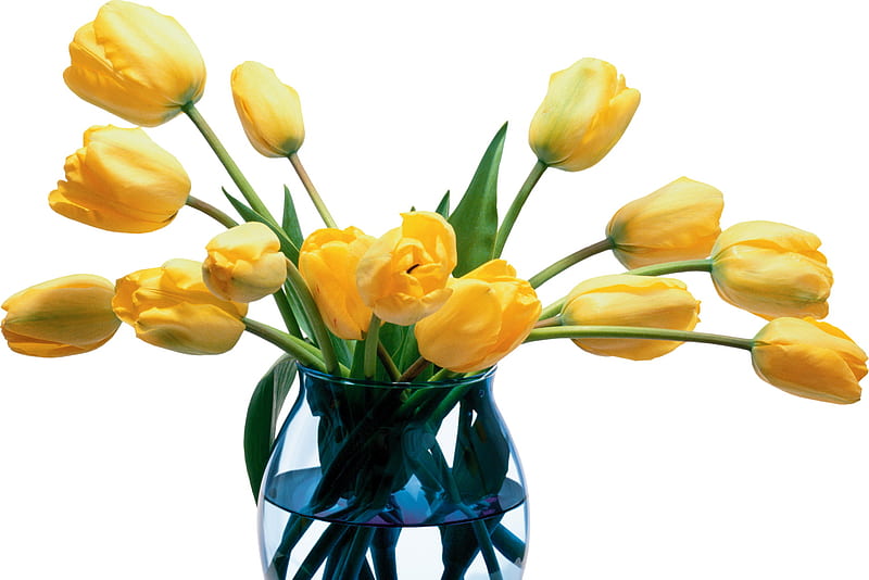 Love tulips , floral design, yellow, sunny, spring, sparkle, entertainment, love, bright, siempre, blue vase, tulips, crystal, sunshine, fashion, magnificent, light, HD wallpaper
