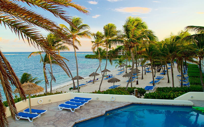 Caribbean, resort, evening, palm trees, tropical islands, ocean, Antigua and Barbuda, HD wallpaper
