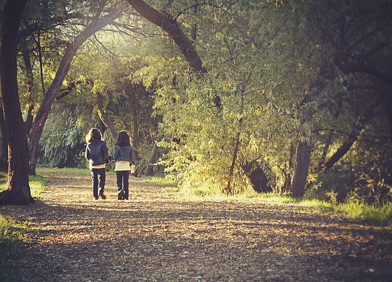 two girl's in blue coat walking road beside trees, HD wallpaper