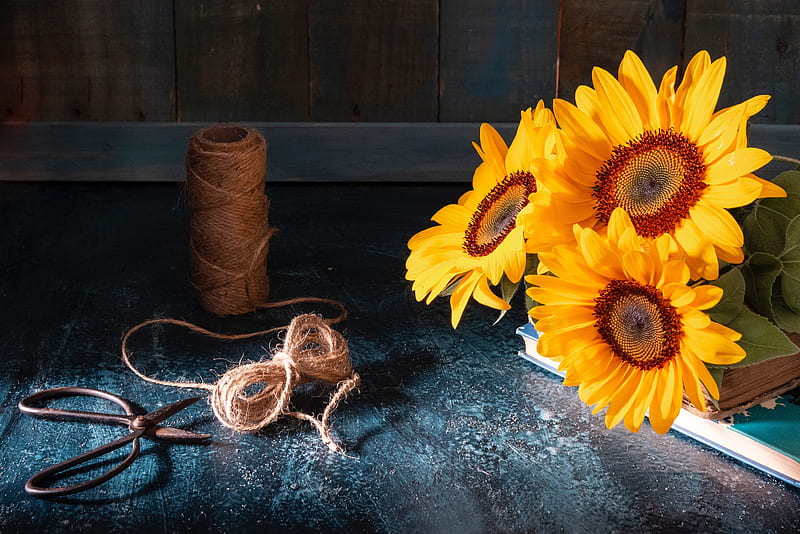 Sunflowers, Style, Twine, Scissors, Books, HD wallpaper
