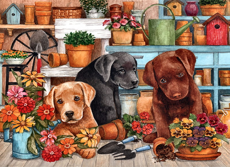 Triple Trouble F1Cmp, art, bonito, pets, artwork, canine, animal, pots, watering can, puppies, painting, wide screen, flowers, dogs, HD wallpaper