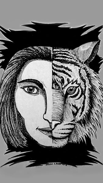 half human half tiger drawing