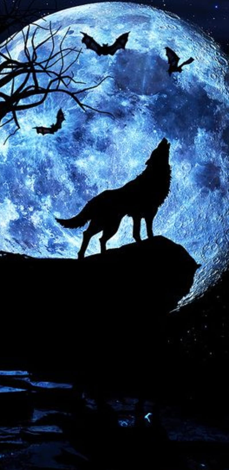 Moonlight Wolf, howl, moon, black, night, HD phone wallpaper