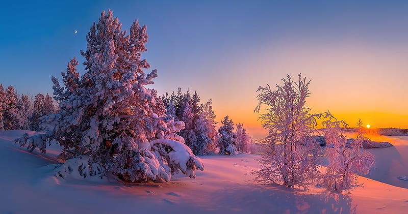 Puesta de sol de invierno de ensueño, nieve, colores, árboles, cielo,  paisaje, Fondo de pantalla HD | Peakpx
