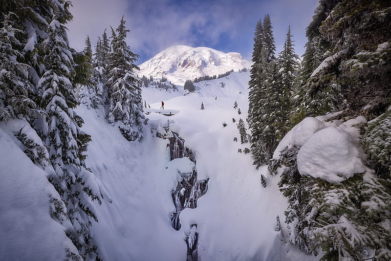 graphy, Winter, Forest, Man, Mount Rainier, Mountain, Snow, USA, Waterfall, HD wallpaper