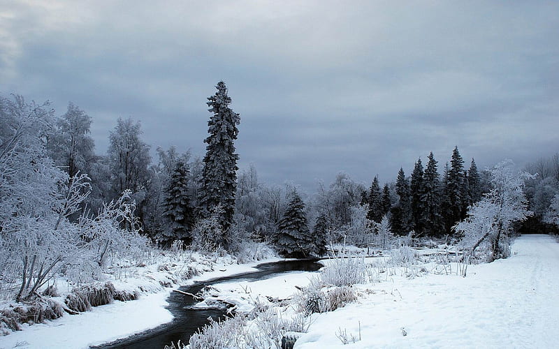 creek-Winter snow scenes, HD wallpaper