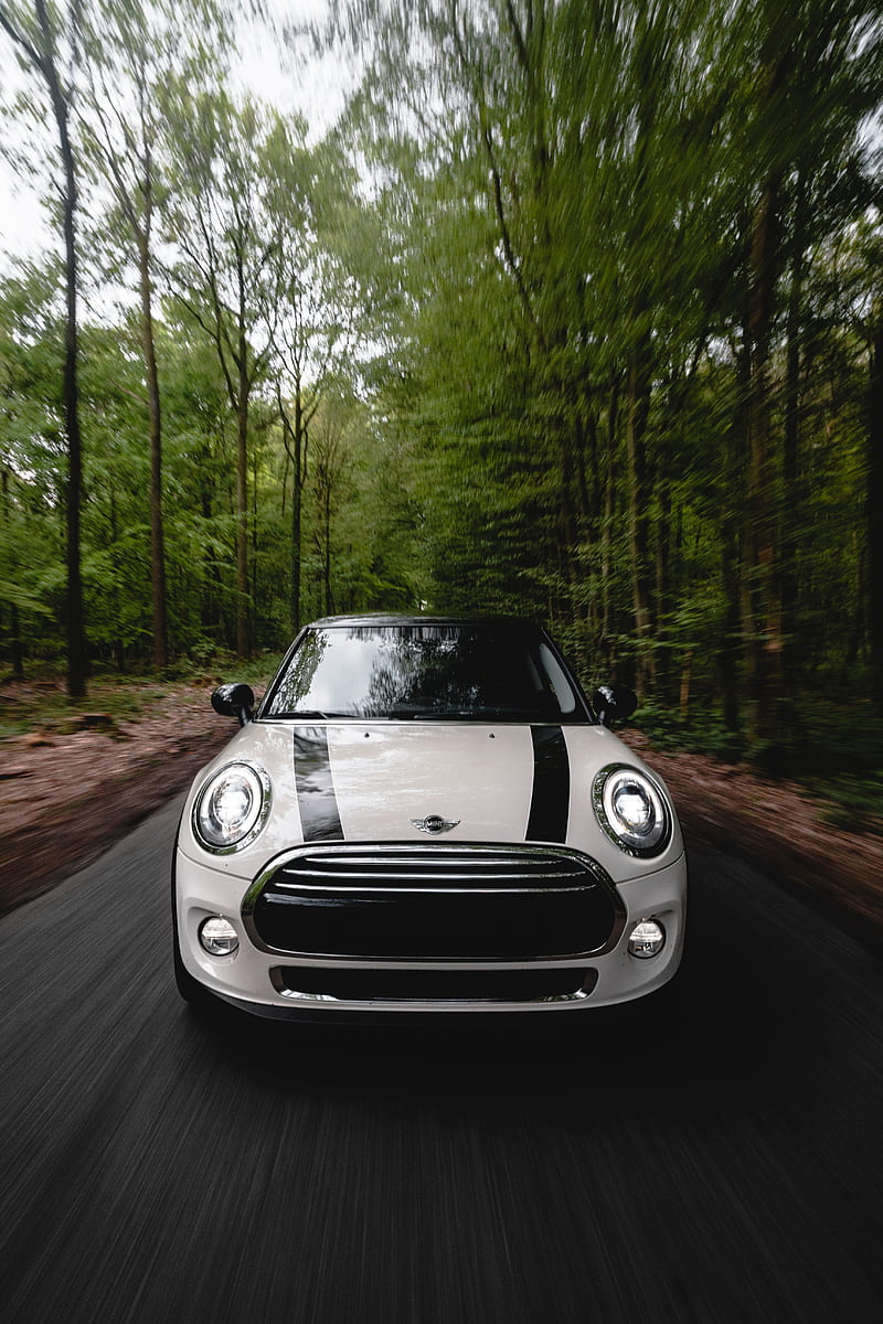 mini cooper, car, white, front view, movement, speed, HD phone wallpaper
