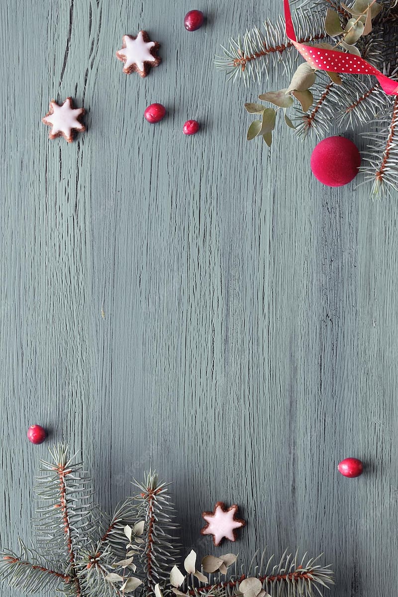 Premium . Winter panoramic banner fir and eucalyptus twigs fuchsia magenta ball cranberry star cookies, Magenta Christmas, HD phone wallpaper