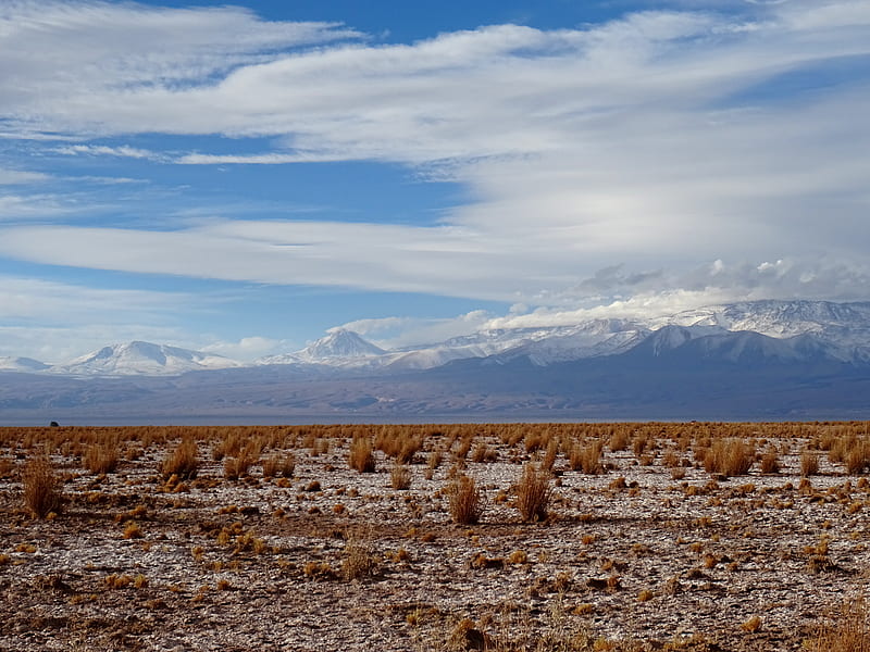 Salty Steppe, mountains, salt, barren, clouds, shrubs, steppe, HD wallpaper