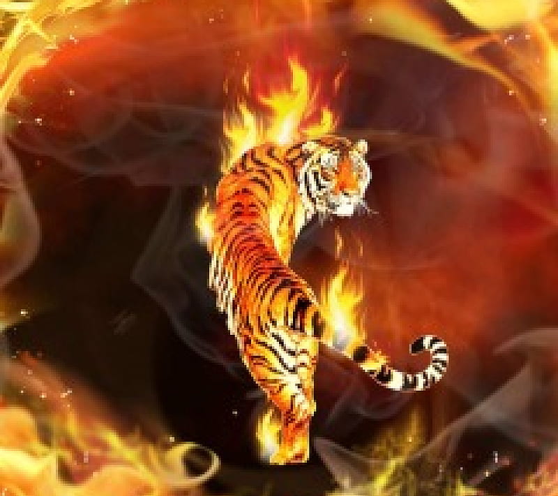 Fiery tiger, fire, tiger, lovely, fiery, HD wallpaper | Peakpx
