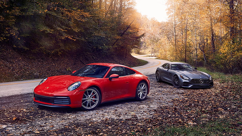 mercedes-amg gt, porsche 911 carrera, sport and luxury cars, forest, road, Vehicle, HD wallpaper