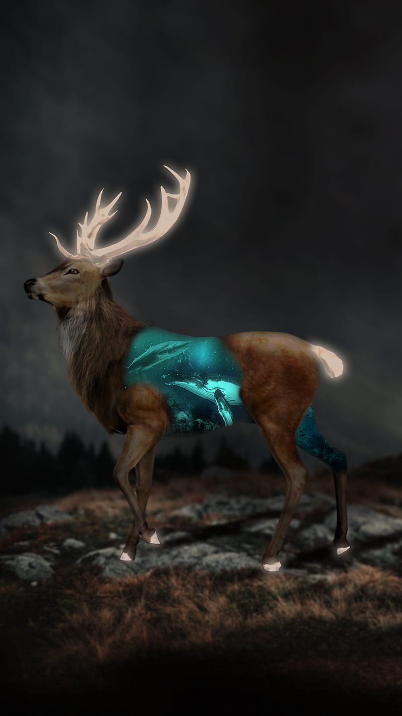 deer, blue, color, fog, light, mountain, sky, underwater, whale, white, HD phone wallpaper