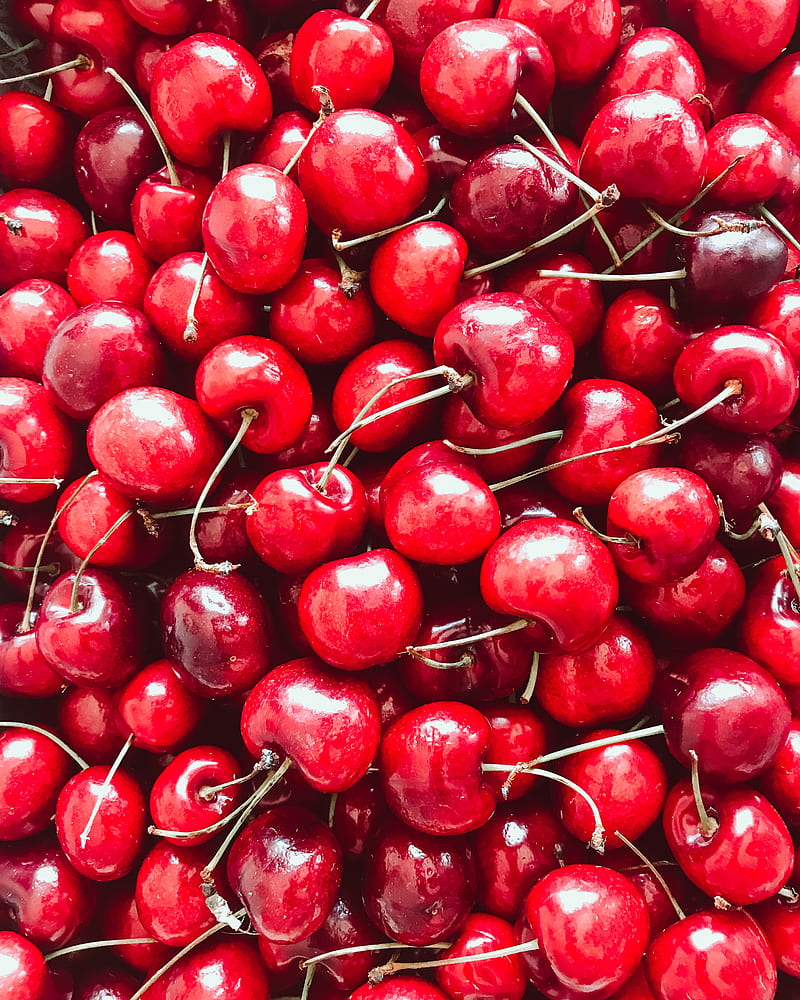 cherries, berries, red, ripe, harvest, HD phone wallpaper