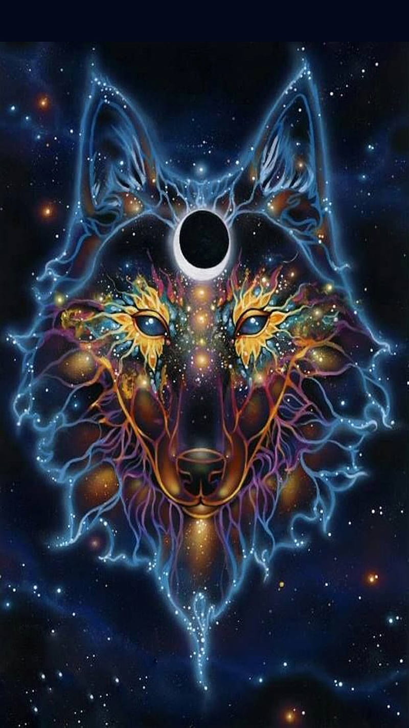 wolf, animal, blue, face, fantasy, stars, HD phone wallpaper