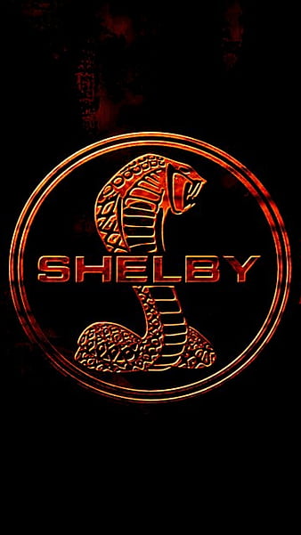 Ford Mustang Shelby logo Photograph by Gil Kanat - Fine Art America