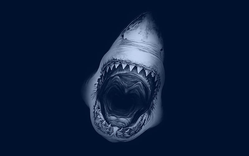 HD shark jaw wallpapers | Peakpx