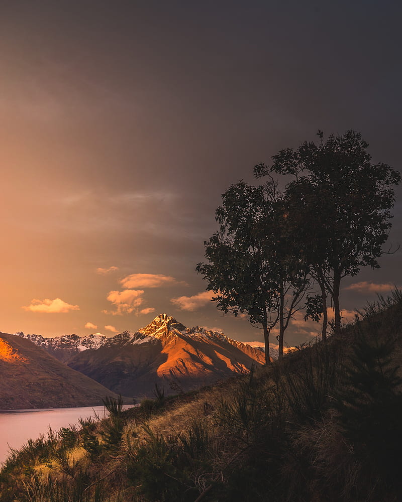 mountains, sunset, lake, grass, new zealand, HD phone wallpaper