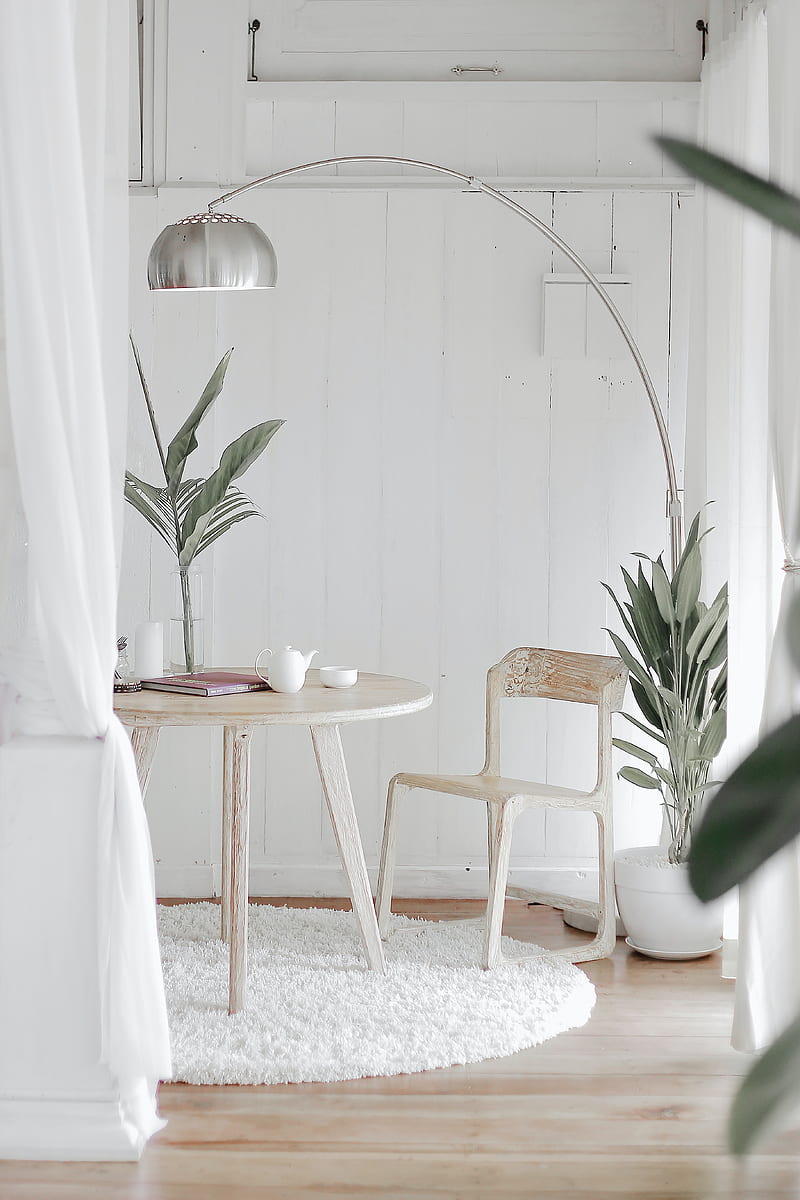 furniture, plants, interior, white, HD phone wallpaper