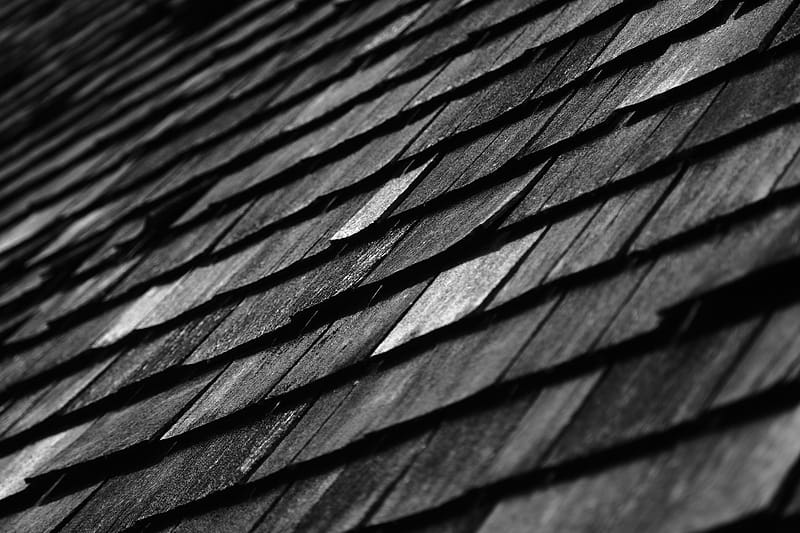 wood, layers, relief, texture, black and white, HD wallpaper