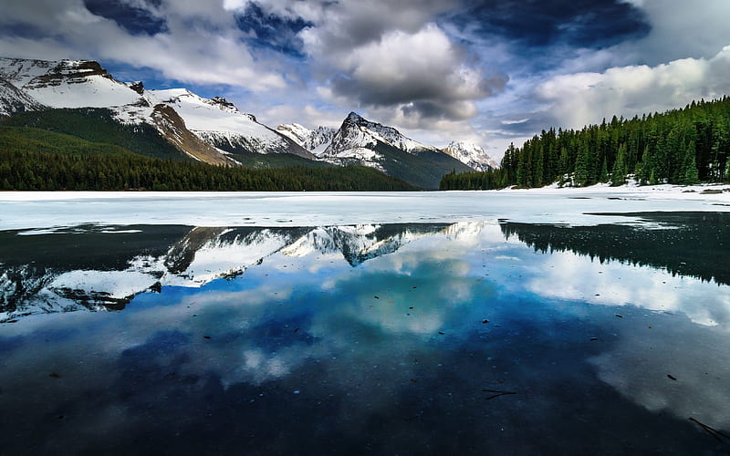 Maligne Lake, forest, mountains, Jasper, Canada, Alberta, Canadian Rockies, HD wallpaper