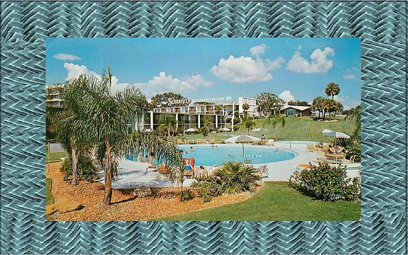 Schrafft's Motor Lodge, Clearwater, FL, clearwarer, postcard, motel, florida, HD wallpaper