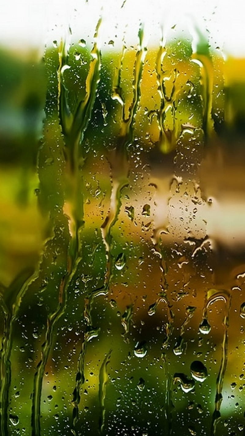 rain, drop, HD phone wallpaper