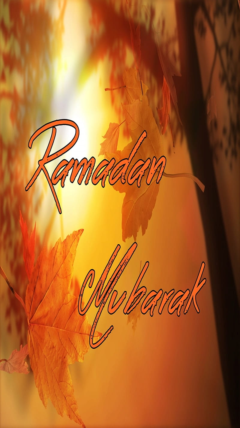 Ramadan Mubarak, 2014, blessings, cool, greetings, islam, nice, HD phone wallpaper
