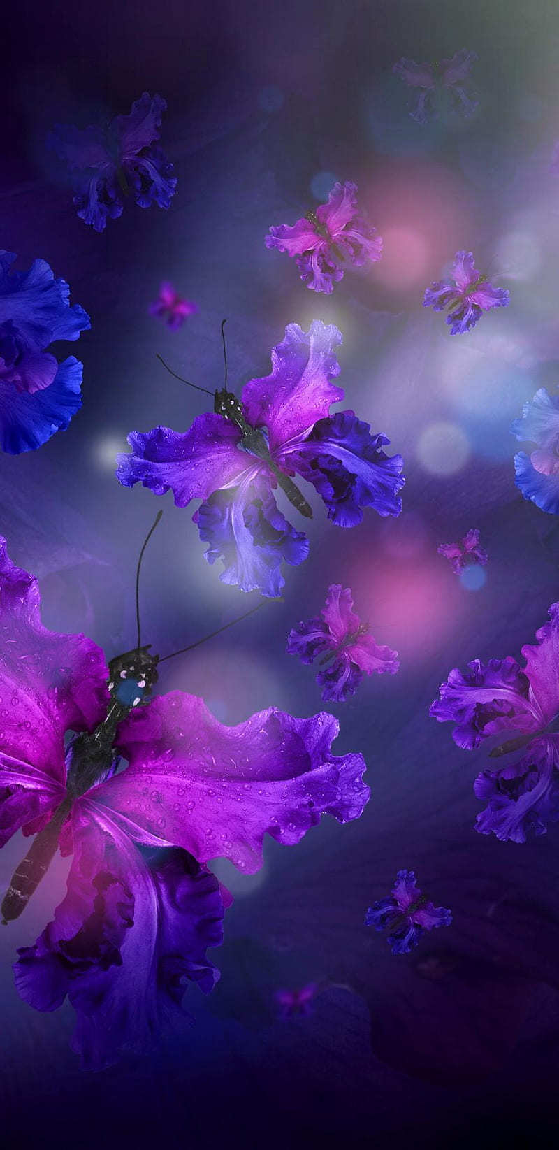 Orchard Butterflies, blue, butterfly, floral, flower, girly, pretty, purple, HD phone wallpaper