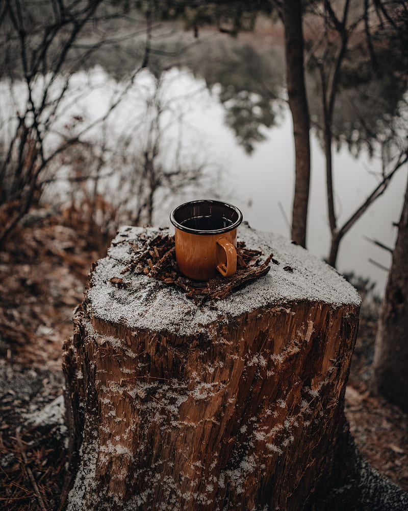 mug, tree stump, snow, nature, HD phone wallpaper