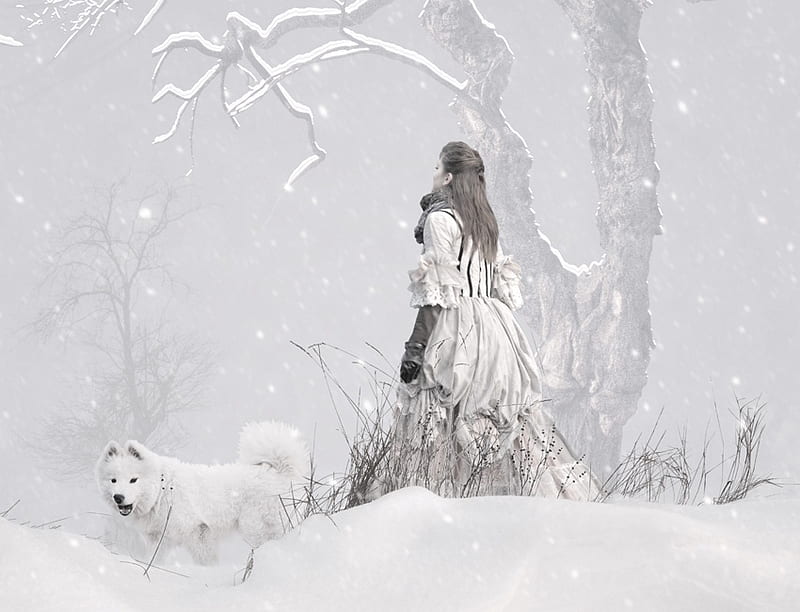 IN THE WINTER FOREST, fantasy, bw, fairy tale, snow, dog, winter, digital art work, HD wallpaper