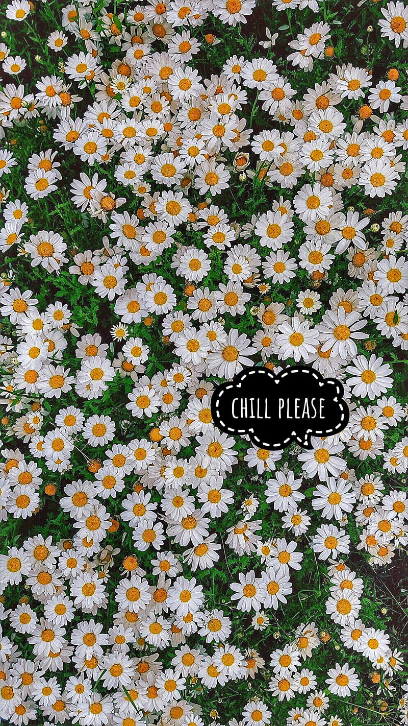 chill please, flower, chill, fall, leaves, relax, yellow, words, garden, funny, heart, HD phone wallpaper