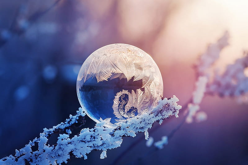 :-), ball, bubble, ice, pink, frozen, blue, iarna, winter, HD wallpaper