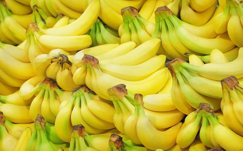 banana, fruits, bunch, HD wallpaper