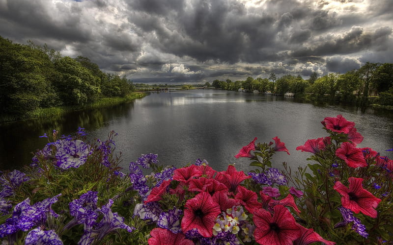 Hermosos paisajes, flores, naturaleza, cielo, lago, Fondo de pantalla HD |  Peakpx