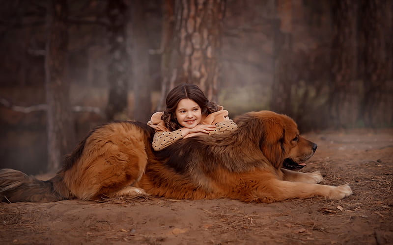 graphy, Child, Dog, Forest, Girl, Tibetan Mastiff, HD wallpaper