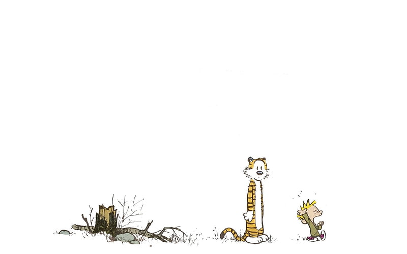 Calvin and Hobbes, calvin, funny page, funny, hobbes, HD wallpaper | Peakpx