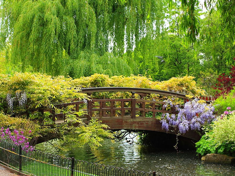 Little bridge over the river, little, bridge, flowers, nature, river, landscape, HD wallpaper