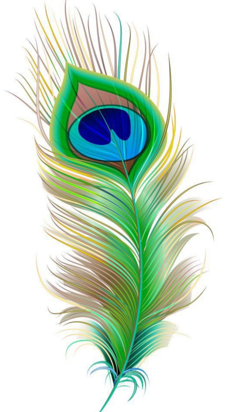 Peacock feather, birds, krishna, murugan, HD phone wallpaper