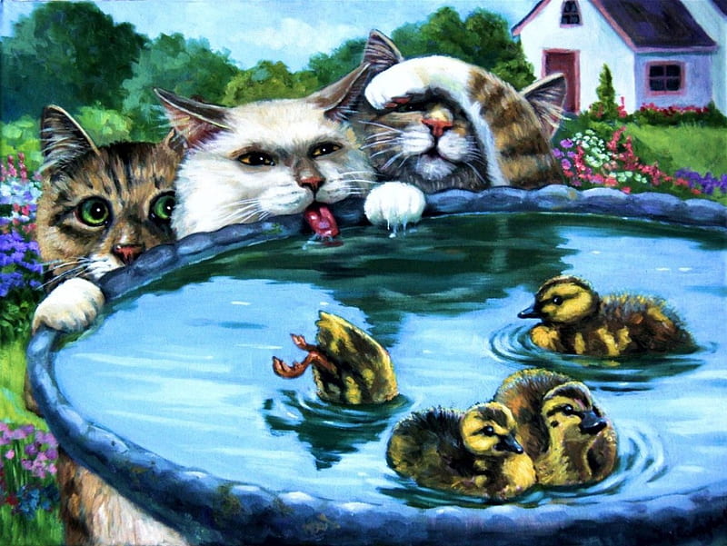 Duck Bath, house, water, painting, chicks, cats, artwork, HD wallpaper