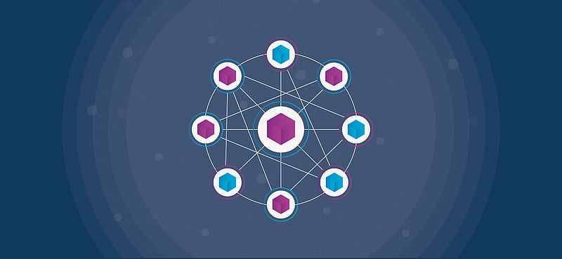 What Are Nodes in Blockchain? - Blockchain Zoo Blog, Blockchain Network, HD wallpaper