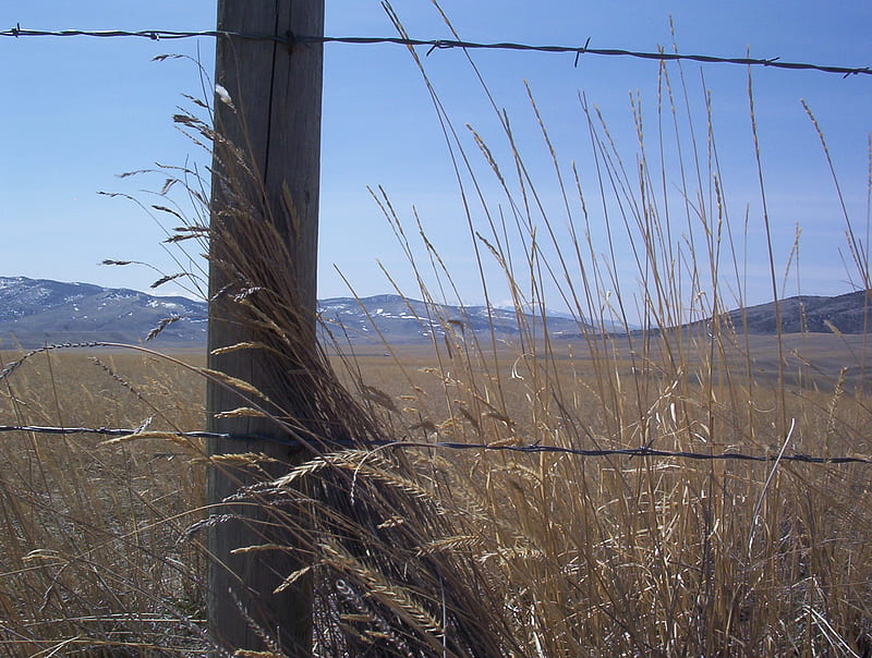 View Through the Fence, fence, grass, mountains, blue sky, meadow, barbed wire, HD wallpaper