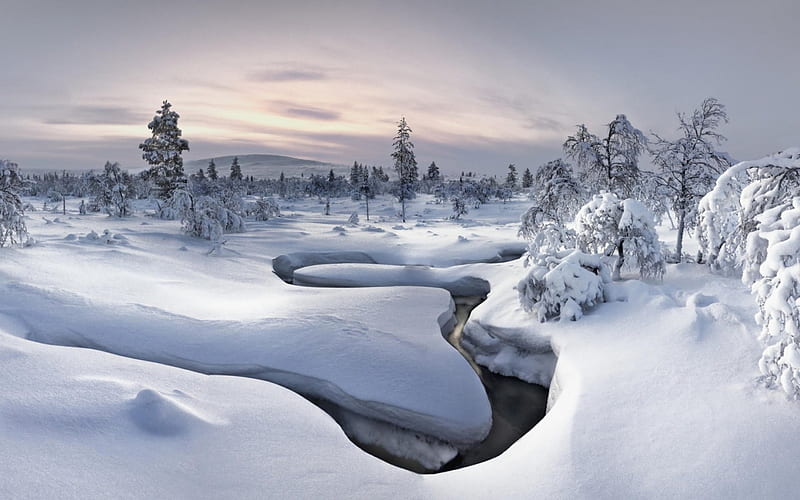 river snaking through snow drifts, snow, river, trees, winter, snake, HD wallpaper