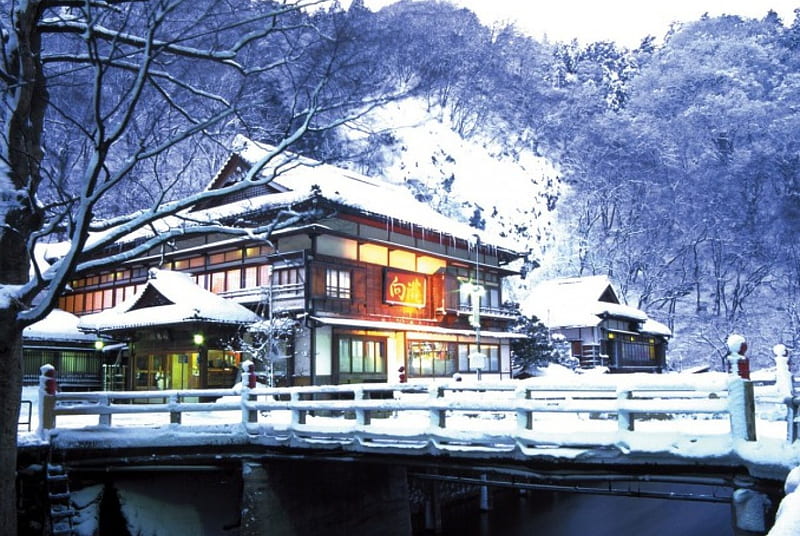 Winter House, forest, japan, house, japanese, snow, onsen, winter, HD wallpaper